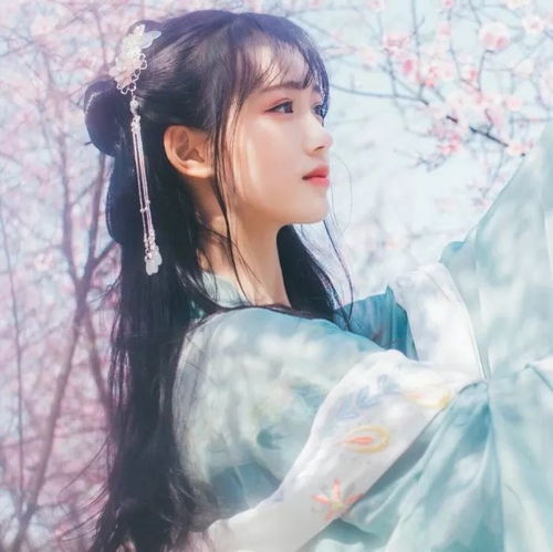 1.1 审美偏好的影响：对“唯美”元素的追求