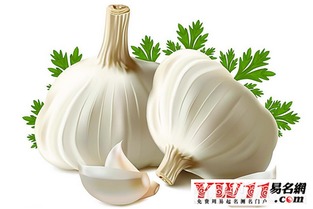 蒜头梦的十八种奇葩解释