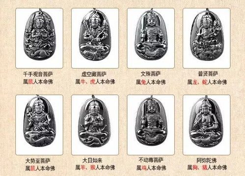（六）属蛇——伤官生旺， 市场价格较高子几率提升