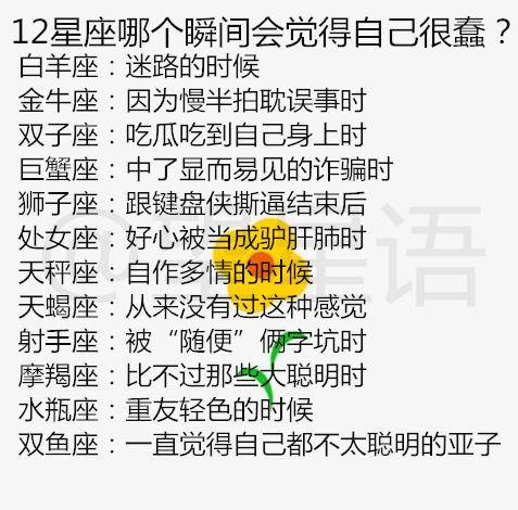 哪个星座在十二星座中排名蕞蠢呢？