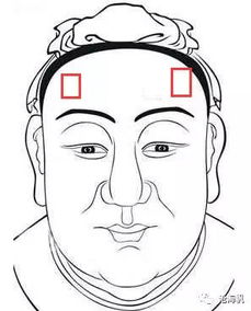 三、 额头宽广度：智慧光辉与财富获取的双重映射