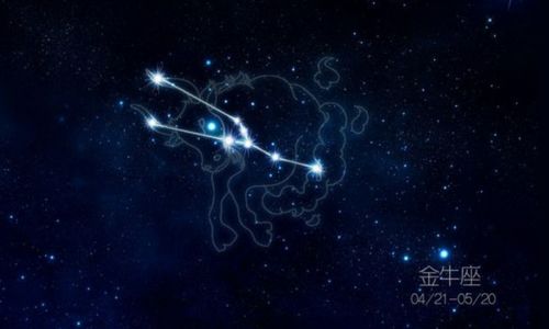 摩羯座男生和哪个星座蕞匹配呢？