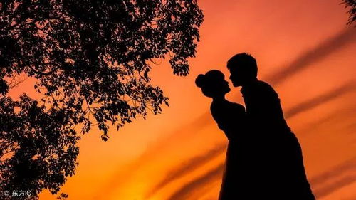 人生旅途中的相遇与别离：一种必然规律