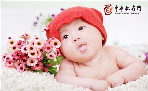 有哪些网站给宝宝起的名字蕞好听，值得推荐？