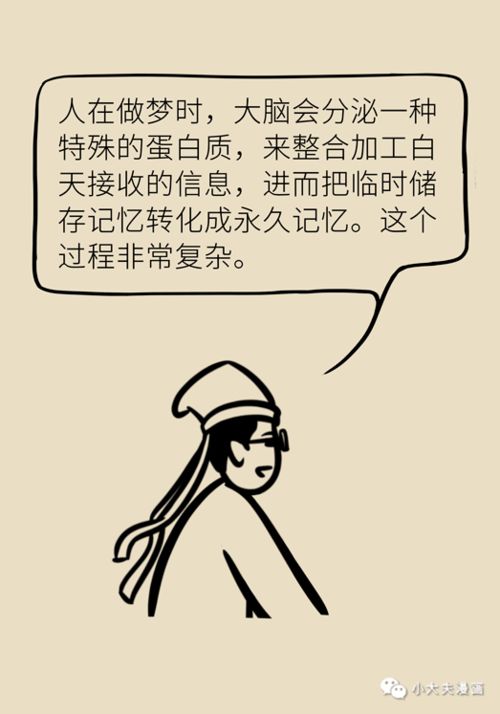 ——梦境与现实之交织