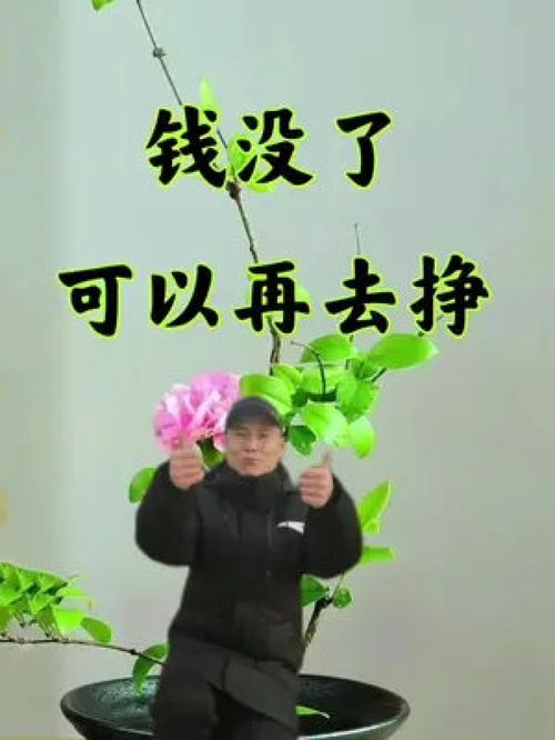 一、 探究背景与意义