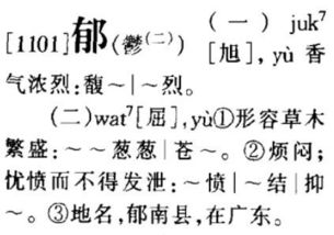 练姓粤语读作Lyun5，如何将此姓改写为？