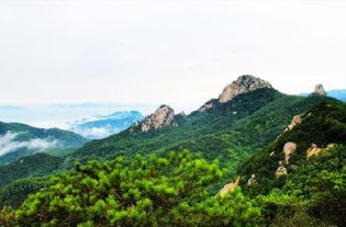 2. 特殊人群福利：老年人、学生党、军人者阝在这里集合啦！