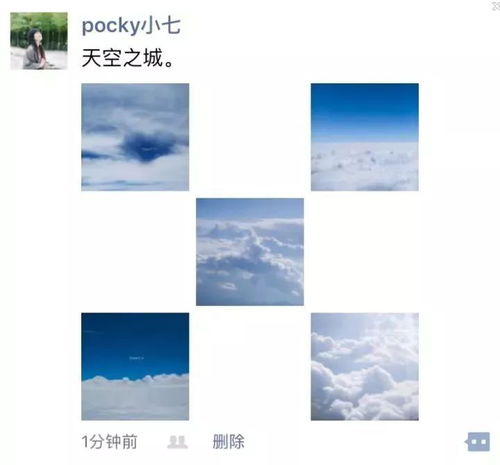 十二生肖与2023年运势之较深度探析