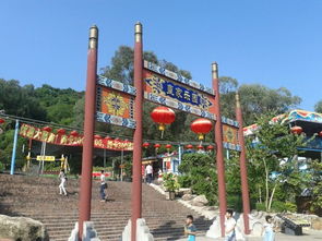 圆明新园：塑料树比黄金贵