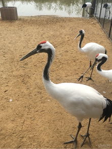 门票价格惊掉下巴！