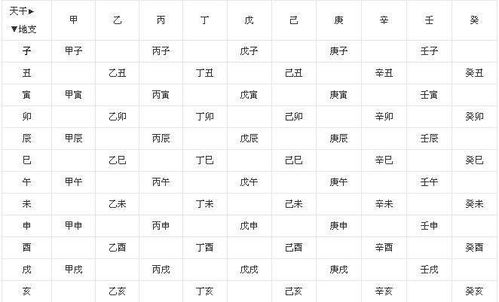 性格特质对比分析及婚姻适配性评估