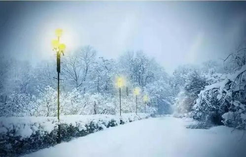 2. 雪景相关的词汇：营造诗意氛围