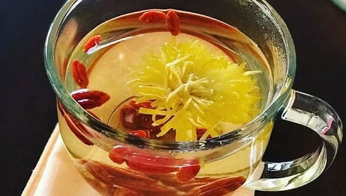 推荐桑杞菊花茶防范老花眼