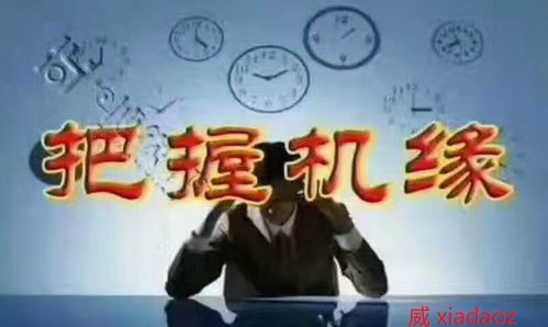 第一章：情感冲突的认知机制与判断力丧失