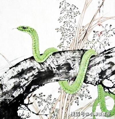 属蛇开什么车最吉利旺财？属蛇的旺财微信名是什么含义？