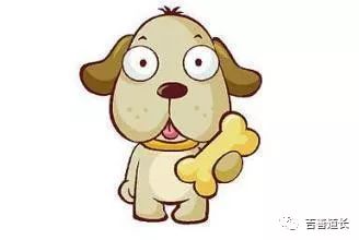 狗与哪些生肖相冲相克，以及哪些生肖与狗相合？