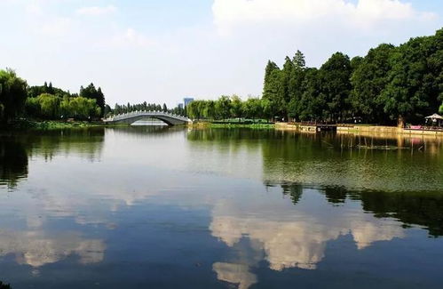 景区实况：人挤人，景致全无