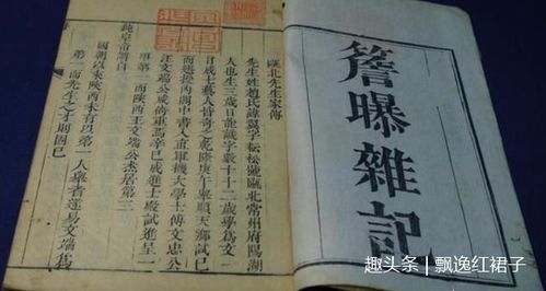 符與使的區分及其對住宅影響