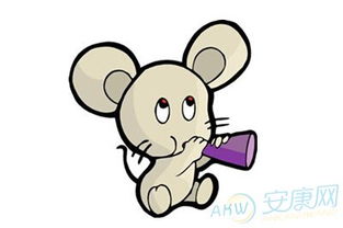 属兔宝宝的性格特点