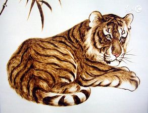 2026年属虎人的偏财运和每月财运预测具体是什么？