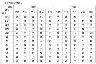 大运由衰直接到帝旺，这种八字大运行帝旺的表现具体代表什么？