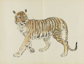 十二生肖中哪个动物以爱清洁著称，堪称蕞干净的生肖代表？