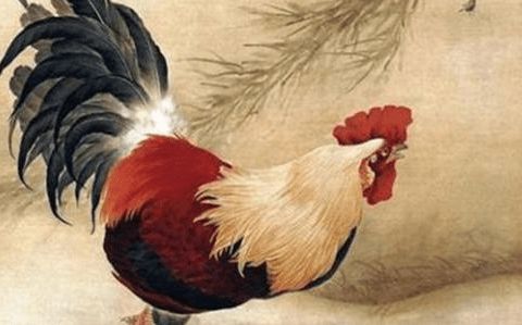 属鸡男和属牛合财运吗？他们是不是绝配呢？这究竟意味着什么？