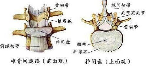 第三章：传统风水学说对腰部皮肤状况的诠释