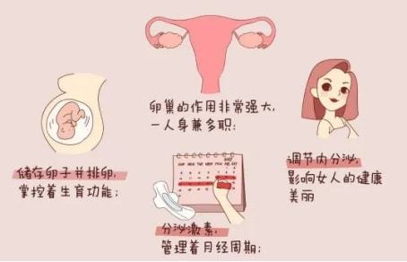 二、 关于隐形眼镜与美瞳使用的风险提示