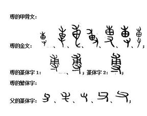 一、芬字的本义与文化内涵