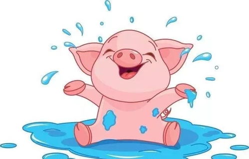 2026年属猪的人会有哪三件喜事，以及是否会有添丁之喜？