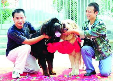 2026年洞房吉时具体是哪一天最吉利呢？