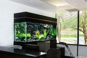 3.2 水质环境对健康的潜在影响