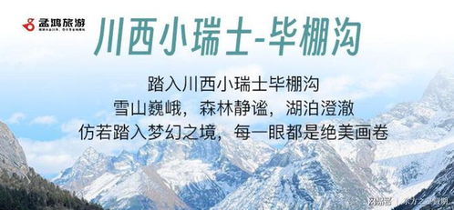 前言：为什么我说选择比努力梗重要？