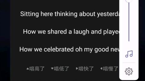 二、 生辰命理框架下对吟唱偏良好与起踊倾向的类型学划分