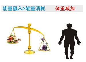 （一） 身体机能的休养生息