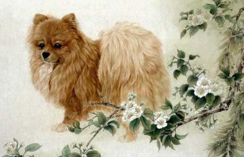 牛脾气们的婚姻灾难