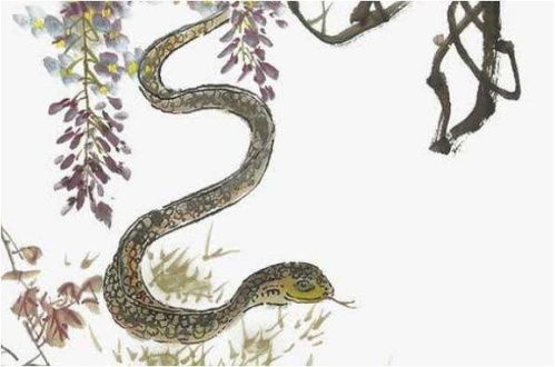 1965年属蛇人在2026年全年运势如何？