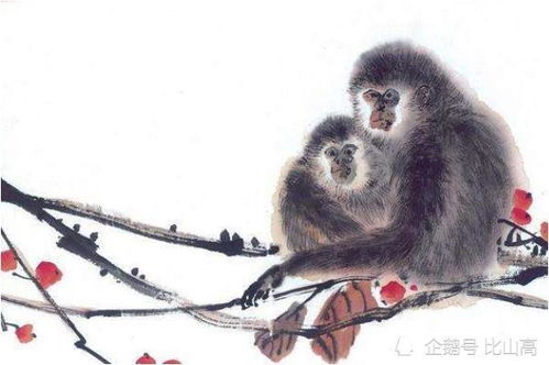 1980年属猴人在2026年的财运如何？