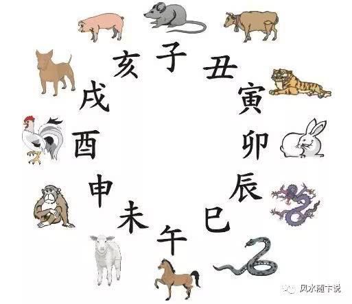 堪风转舵的生肖是什么？这个生肖的特点有哪些？