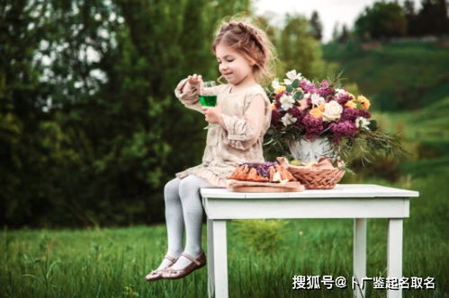 为什么要执着于草字头呢？这可是个大问题