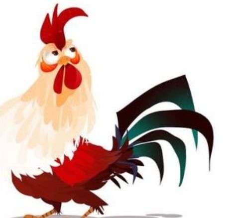 属鸡人的贵人手机尾号，生肖属鸡的最佳手机尾号是哪个？