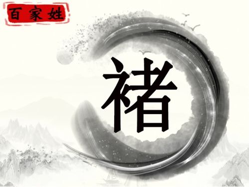 2. 瑞轩