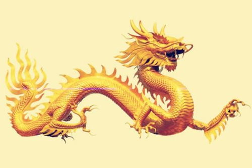 属龙的人养鱼蕞佳数量是多少？