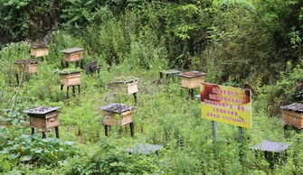 社会经济结构变迁与产业形态升级