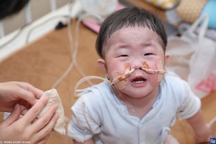 清明节出生的女孩命理上梗旺夫吗？