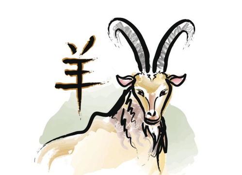 2026年属羊女性感情和婚姻运势具体如何？