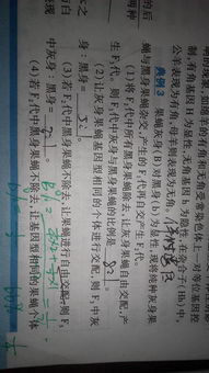 今晚必出准确生肖，五行八作对应的最准确生肖是什么生肖？