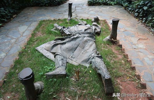 田野观察报告